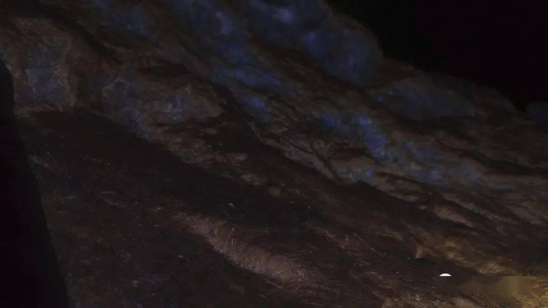 洛克王国