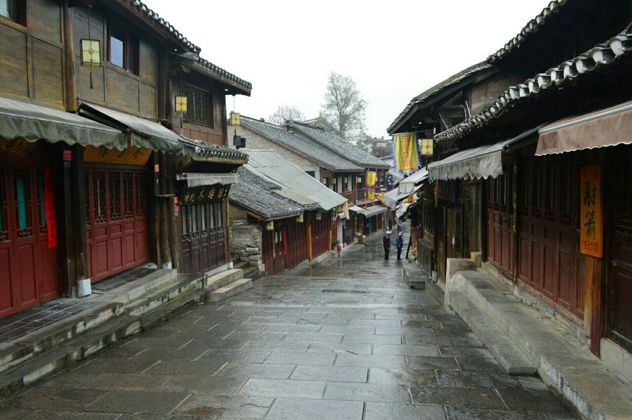 动物帮帮忙保卫家园