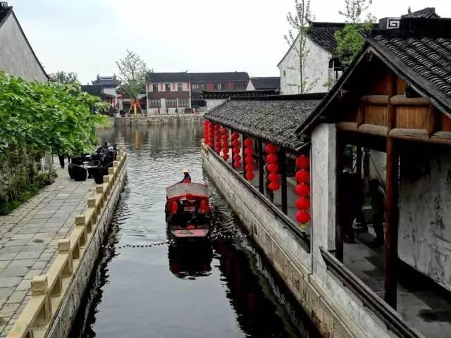 拯救精灵的土地7
